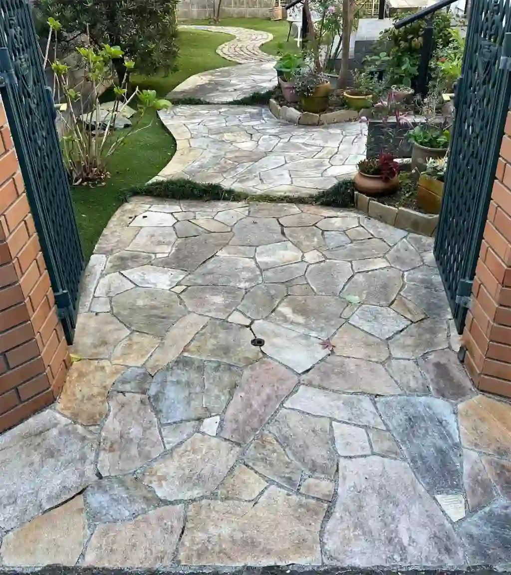 A stone walkway with a gate and a garden before cleaning.